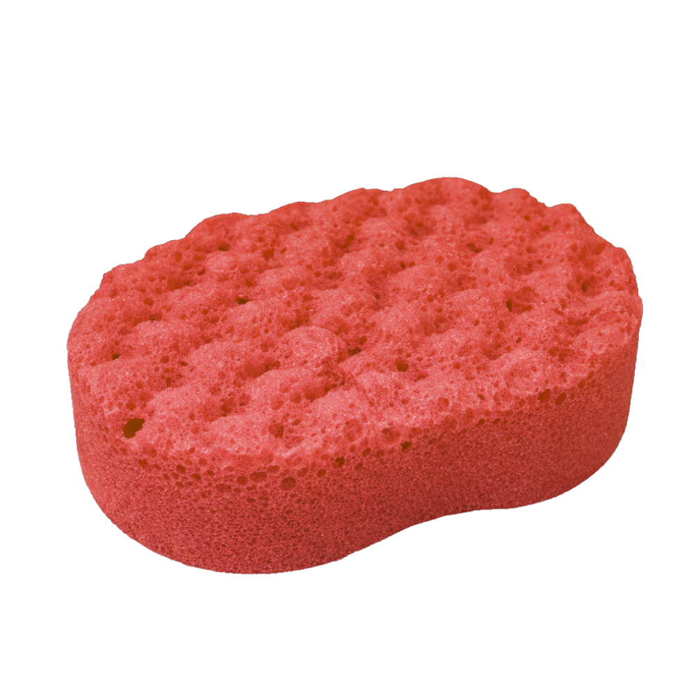 Cherry Soap Sponge