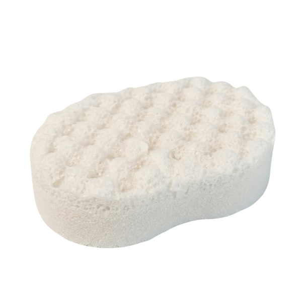 Dove Soap Sponge