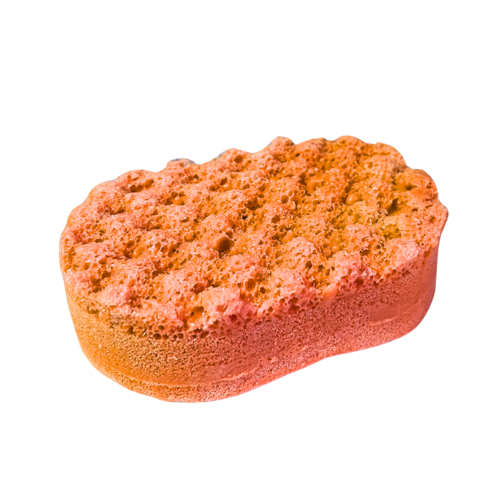 Pumpkin Spice Soap Sponge