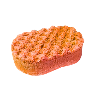 Pumpkin Spice Soap Sponge