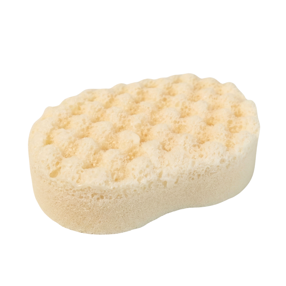Vanilla Soap Sponge
