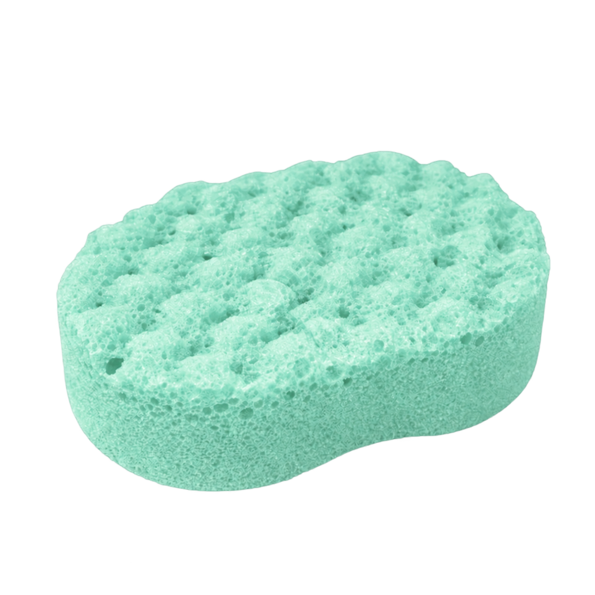 Mint Tingle Soap Sponge